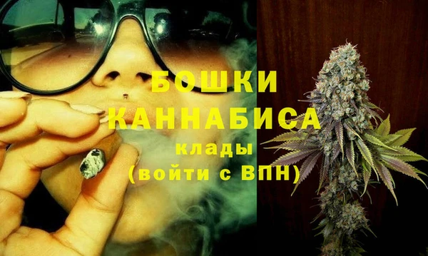 прущие грибы Балахна