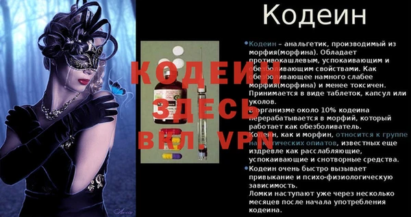 прущие грибы Балахна