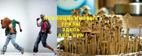 прущие грибы Балахна