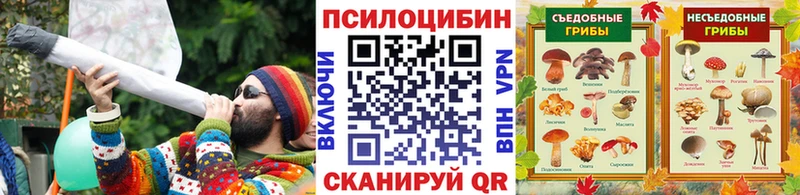 закладка Ливны blacksprut рабочий сайт Галлюциногенные грибы Psilocybe